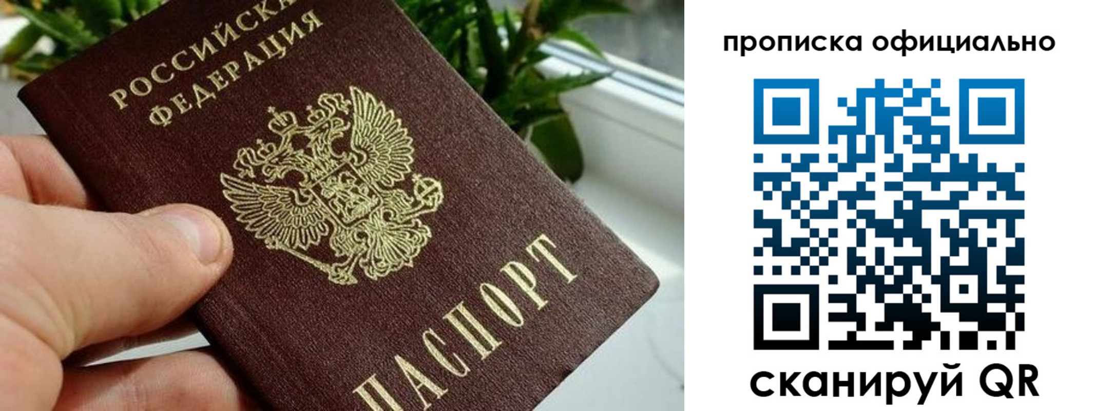 прописка поиск в Юрьевце